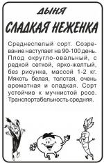 дыня сладкая неженка