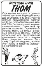 огуречная трава гном