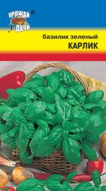 базилик зеленый карлик
