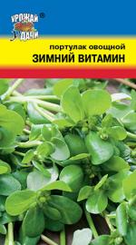 портулак зимний витамин