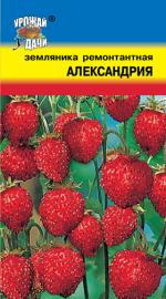 Земляника   ремонтантная  АЛЕКСАНДРИЯ