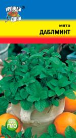 мята даблминт