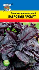 базилик лавровый аромат