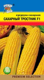 кукуруза сахарный тростник