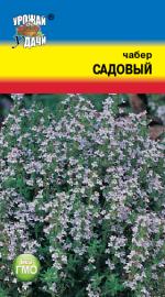 чабер садовый