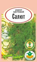 Укроп  САЛЮТ КУСТОВОЙ 