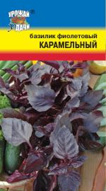 Базилик  фиолетовый  КАРАМЕЛЬНЫЙ
