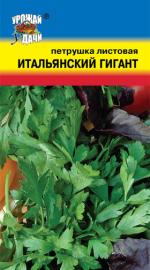 Петрушка   листовая  ИТАЛЬЯНСКИЙ ГИГАНТ