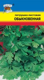 Петрушка   листовая  ОБЫКНОВЕННАЯ