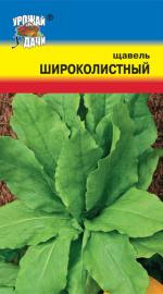 Щавель  ШИРОКОЛИСТНЫЙ