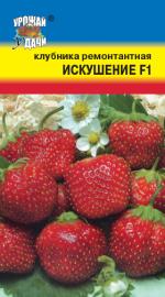 Клубника  ИСКУШЕНИЕ F1   ремонтантная