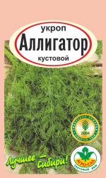 Укроп  Аллигатор