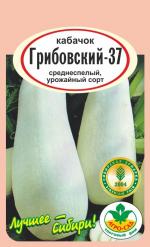 кабачок Грибовский-37
