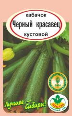 кабачок Черный красавец