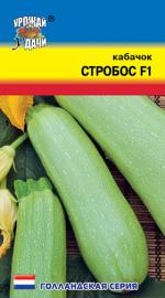 Кабачок  СТРОБОС F1