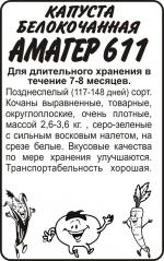 капуста амагер