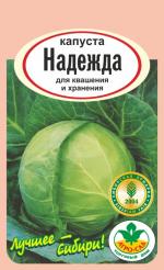 капуста  НАДЕЖДА