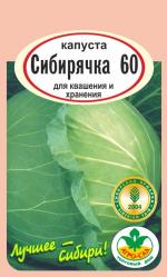 капуста   СИБИРЯЧКА 60