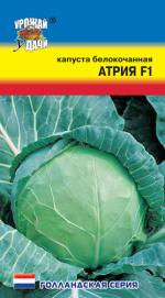 Капуста   АТРИЯ F1