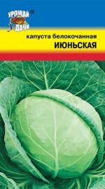 Капуста   ИЮНЬСКАЯ