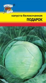 Капуста    ПОДАРОК