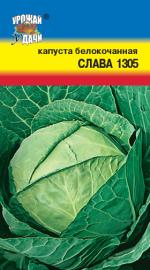 Капуста    СЛАВА 1305
