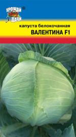 капуста валентина