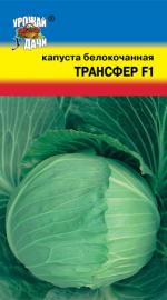 капуста трансфер