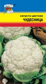 Капуста   цветная чудесница