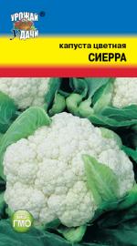 Капуста   цветная  СИЕРРА
