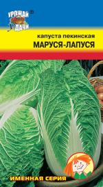 Капуста   пекинская  МАРУСЯ-ЛАПУСЯ