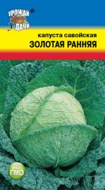 Капуста   савойская  ЗОЛОТАЯ РАННЯЯ