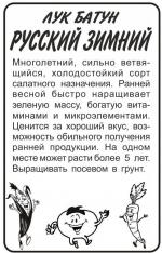 лук батун русский зимний