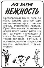 лук батун нежность