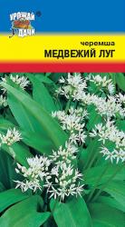 лук ЧЕРЕМША МЕДВЕЖИЙ ЛУГ многолетний