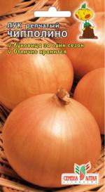 лук чипполино