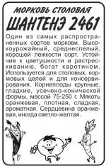 морковь шантане 