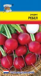 редис РЕБЕЛ выращивается с весны до осени