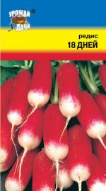 Редис  18 ДНЕЙ