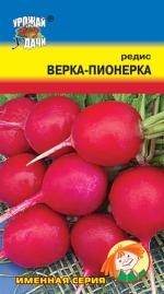 Редис  ВЕРКА-ПИОНЕРКА
