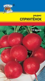 Редис  СПРИНТЁНОК