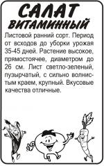 салат витаминный