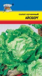салат АЙСБЕРГ кочанный 