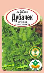 Салат  листовой Дубачек