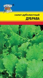 Салат   ДУБРАВА    дуболистный  