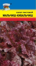 Салат  МАЛЬЧИШ-КИБАЛЬЧИШ   листовой
