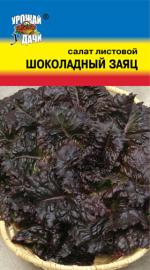 Салат  ШОКОЛАДНЫЙ ЗАЯЦ   листовой