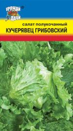 Салат  ГРИБОВСКИЙ   КУЧЕРЯВЕЦ полукочанный