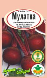 Свекла  МУЛАТКА