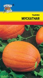 Тыква  МУСКАТНАЯ